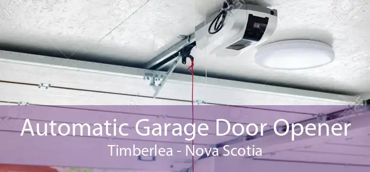 Automatic Garage Door Opener Timberlea - Nova Scotia
