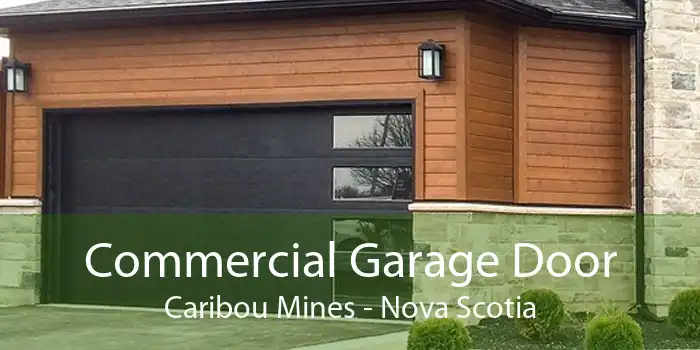 Commercial Garage Door Caribou Mines - Nova Scotia