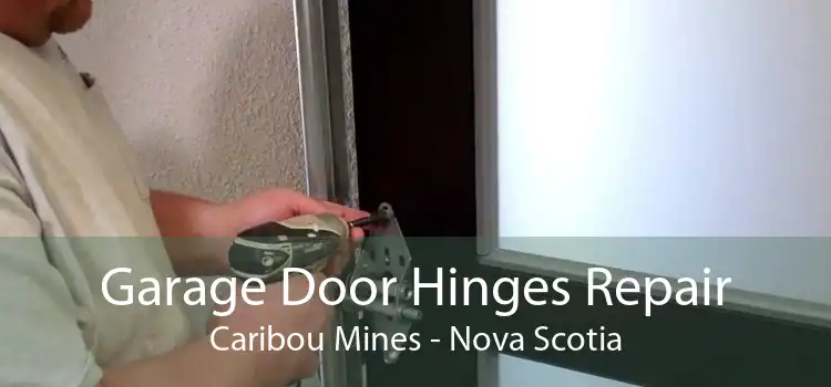 Garage Door Hinges Repair Caribou Mines - Nova Scotia