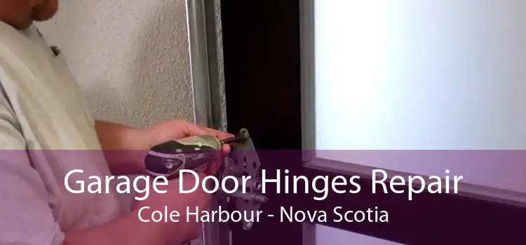 Garage Door Hinges Repair Cole Harbour - Nova Scotia
