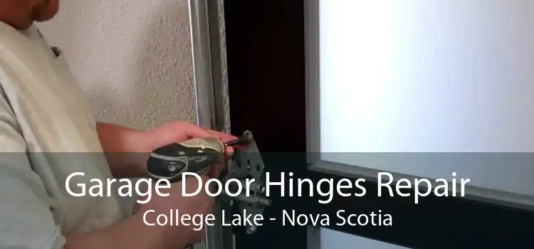 Garage Door Hinges Repair College Lake - Nova Scotia