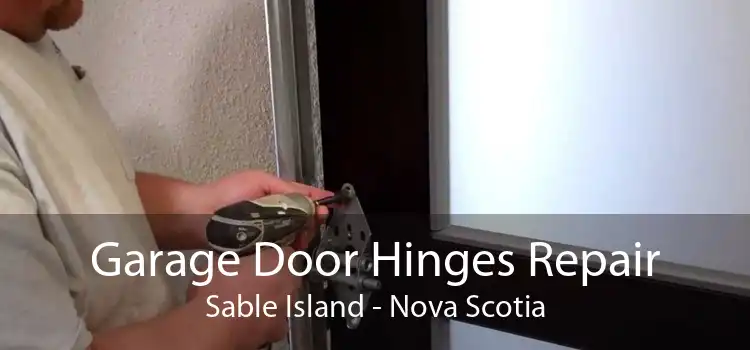 Garage Door Hinges Repair Sable Island - Nova Scotia