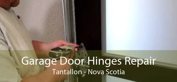 Garage Door Hinges Repair Tantallon - Nova Scotia