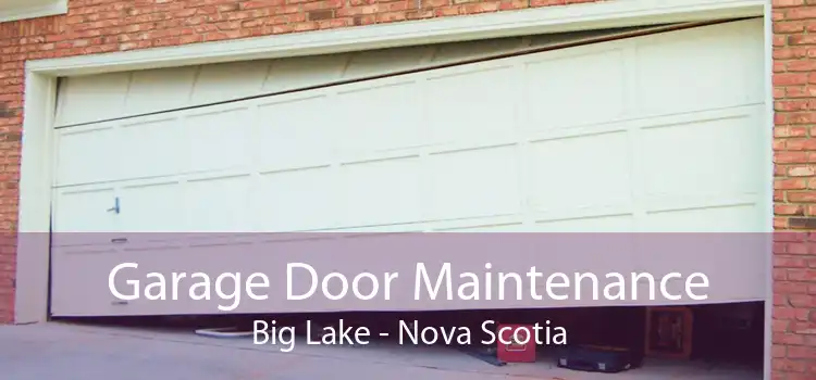 Garage Door Maintenance Big Lake - Nova Scotia