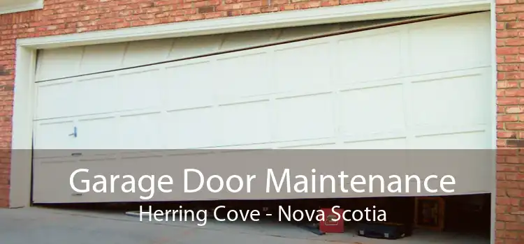 Garage Door Maintenance Herring Cove - Nova Scotia