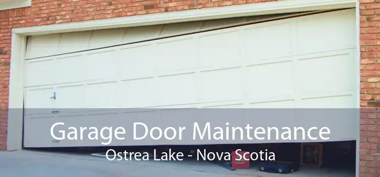 Garage Door Maintenance Ostrea Lake - Nova Scotia