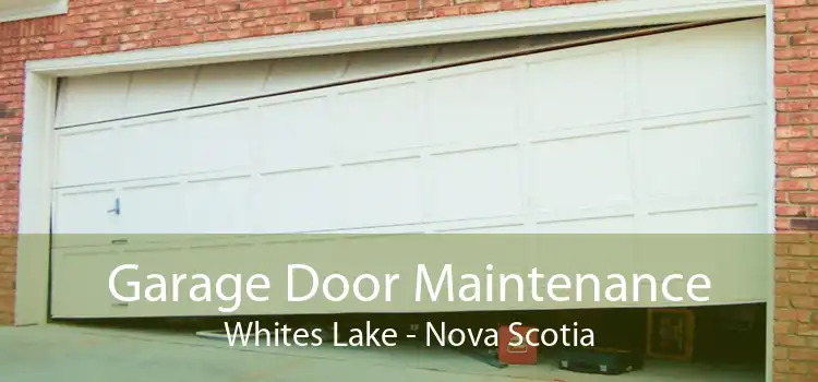 Garage Door Maintenance Whites Lake - Nova Scotia