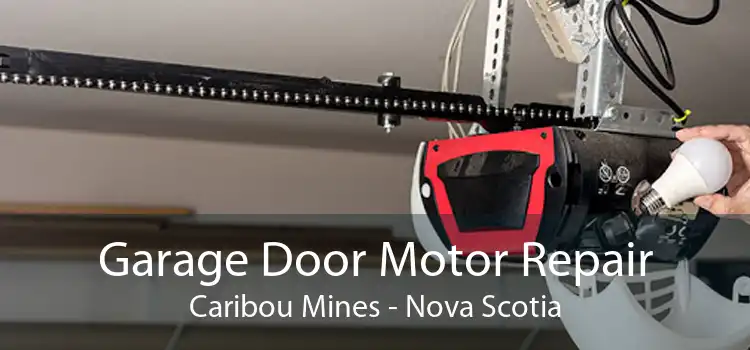 Garage Door Motor Repair Caribou Mines - Nova Scotia