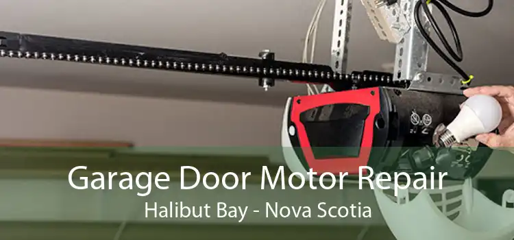 Garage Door Motor Repair Halibut Bay - Nova Scotia