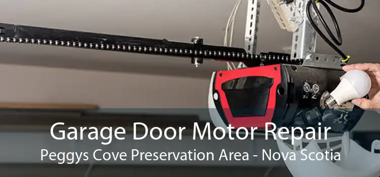 Garage Door Motor Repair Peggys Cove Preservation Area - Nova Scotia