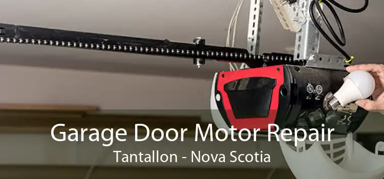 Garage Door Motor Repair Tantallon - Nova Scotia