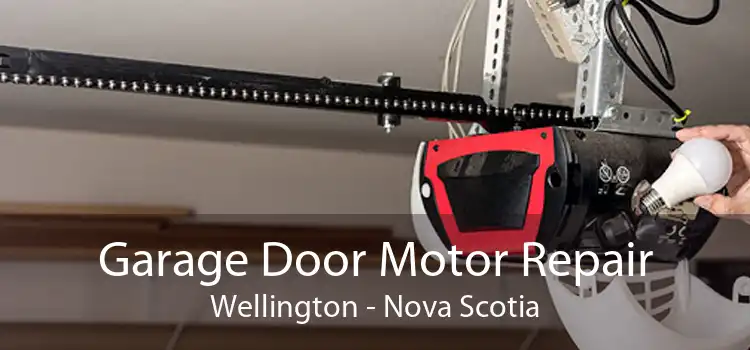 Garage Door Motor Repair Wellington - Nova Scotia