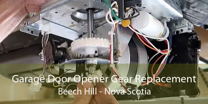 Garage Door Opener Gear Replacement Beech Hill - Nova Scotia