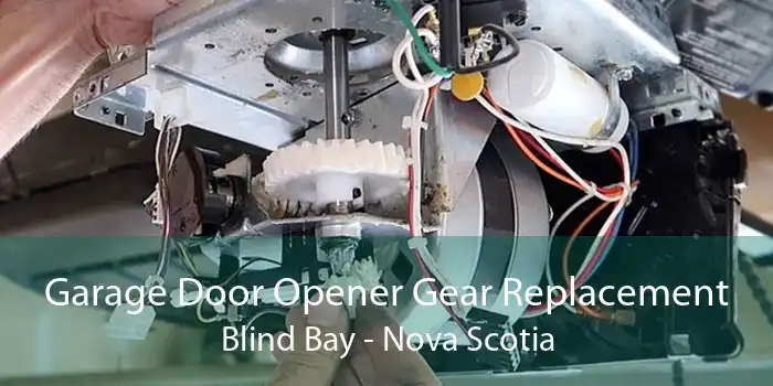 Garage Door Opener Gear Replacement Blind Bay - Nova Scotia