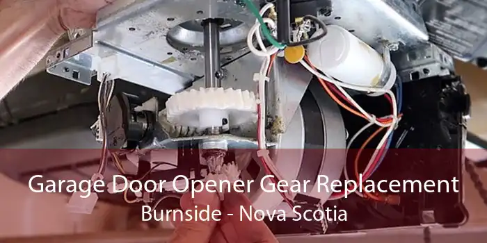 Garage Door Opener Gear Replacement Burnside - Nova Scotia