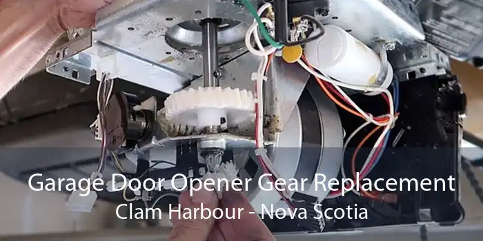 Garage Door Opener Gear Replacement Clam Harbour - Nova Scotia