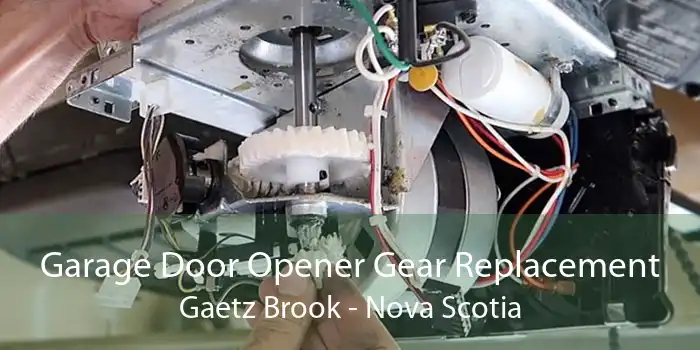 Garage Door Opener Gear Replacement Gaetz Brook - Nova Scotia
