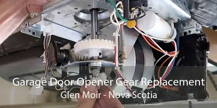 Garage Door Opener Gear Replacement Glen Moir - Nova Scotia