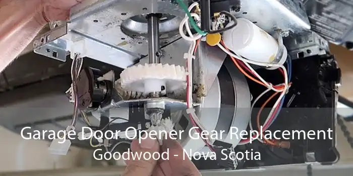 Garage Door Opener Gear Replacement Goodwood - Nova Scotia