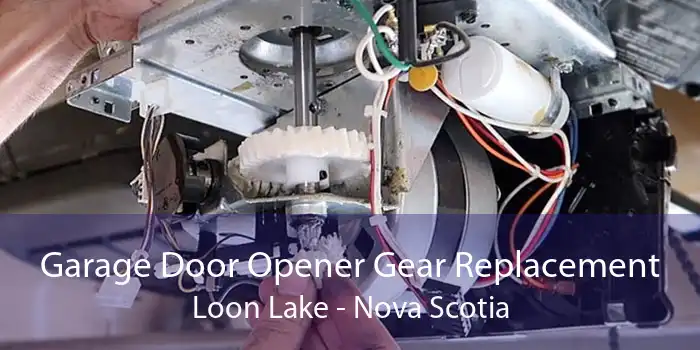 Garage Door Opener Gear Replacement Loon Lake - Nova Scotia