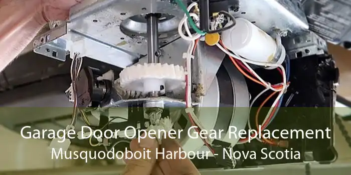 Garage Door Opener Gear Replacement Musquodoboit Harbour - Nova Scotia