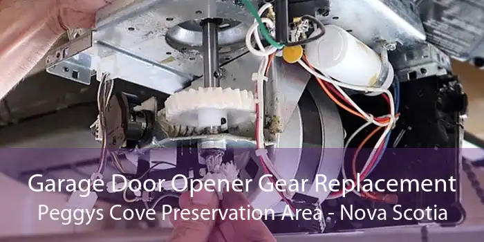 Garage Door Opener Gear Replacement Peggys Cove Preservation Area - Nova Scotia