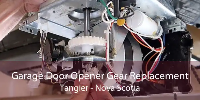 Garage Door Opener Gear Replacement Tangier - Nova Scotia