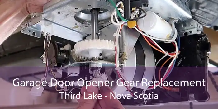 Garage Door Opener Gear Replacement Third Lake - Nova Scotia