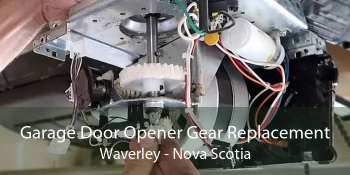 Garage Door Opener Gear Replacement Waverley - Nova Scotia