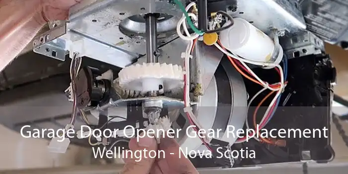 Garage Door Opener Gear Replacement Wellington - Nova Scotia
