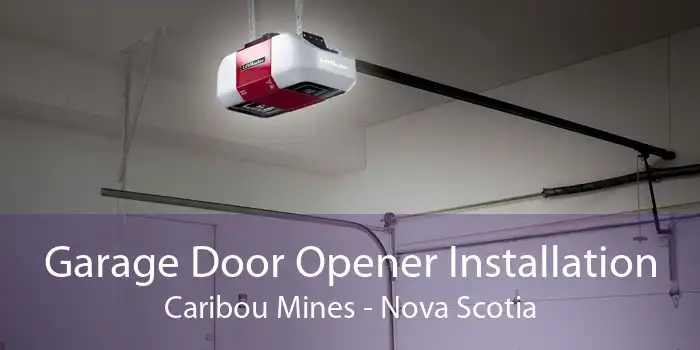 Garage Door Opener Installation Caribou Mines - Nova Scotia