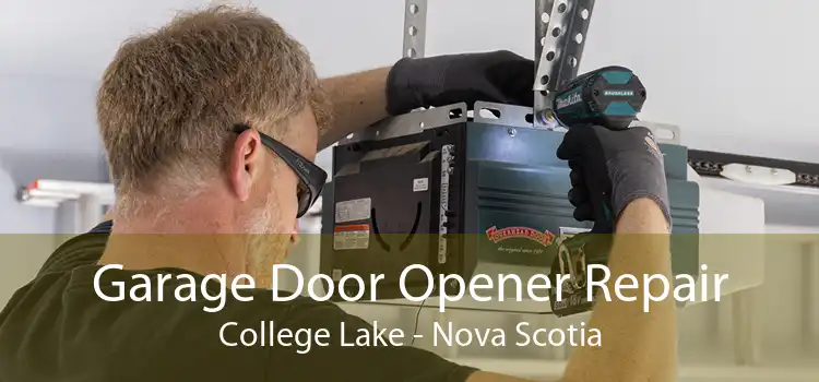 Garage Door Opener Repair College Lake - Nova Scotia