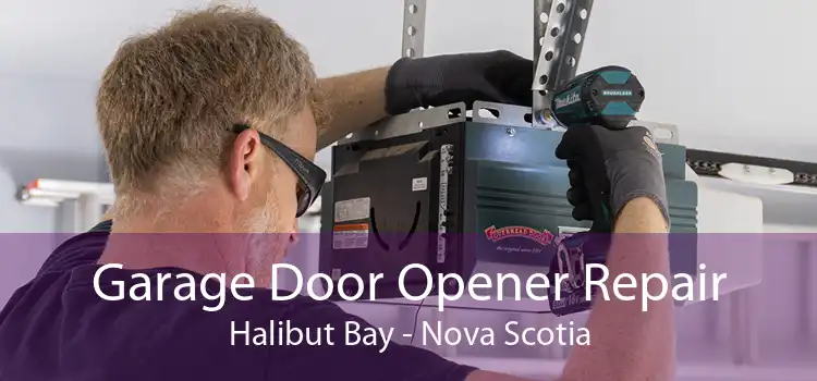 Garage Door Opener Repair Halibut Bay - Nova Scotia