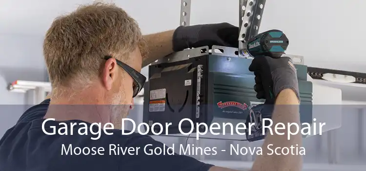Garage Door Opener Repair Moose River Gold Mines - Nova Scotia