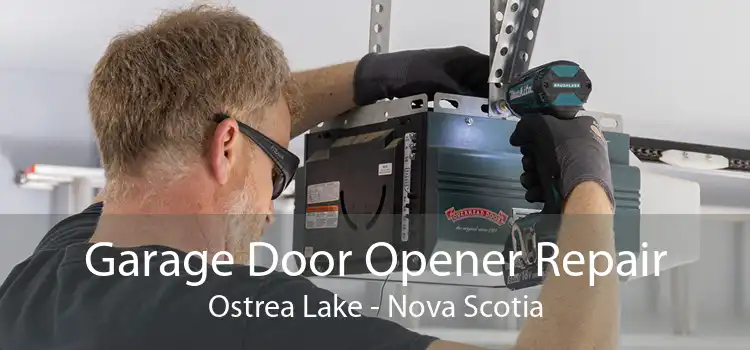 Garage Door Opener Repair Ostrea Lake - Nova Scotia