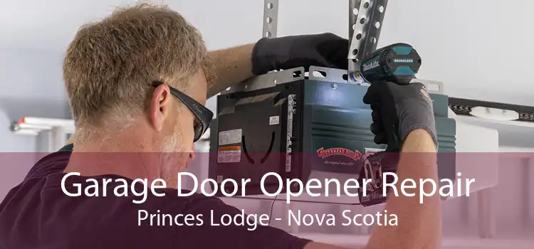Garage Door Opener Repair Princes Lodge - Nova Scotia