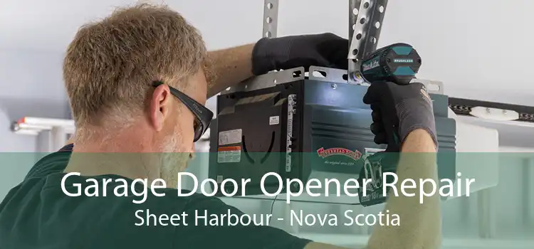 Garage Door Opener Repair Sheet Harbour - Nova Scotia