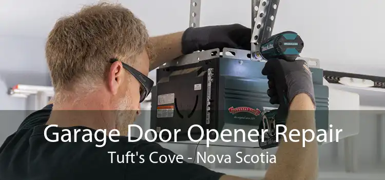 Garage Door Opener Repair Tuft's Cove - Nova Scotia