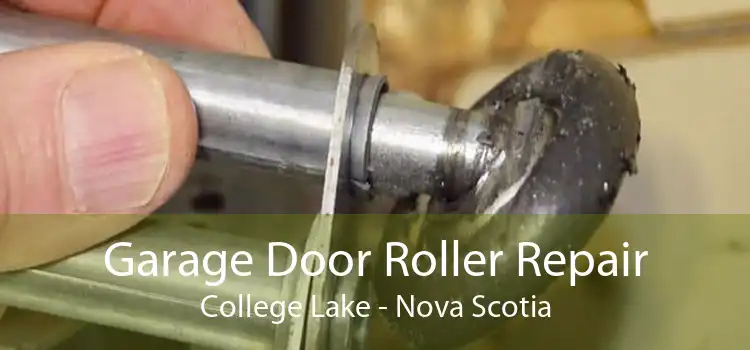 Garage Door Roller Repair College Lake - Nova Scotia