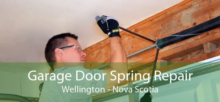 Garage Door Spring Repair Wellington - Nova Scotia
