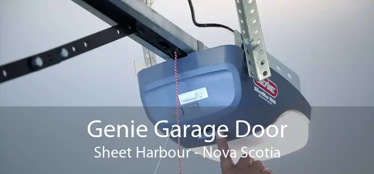 Genie Garage Door Sheet Harbour - Nova Scotia