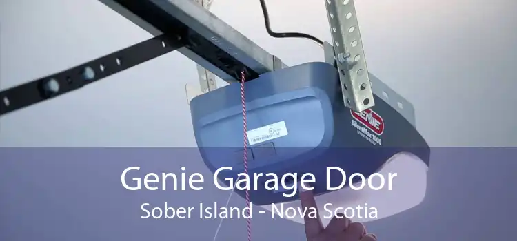 Genie Garage Door Sober Island - Nova Scotia
