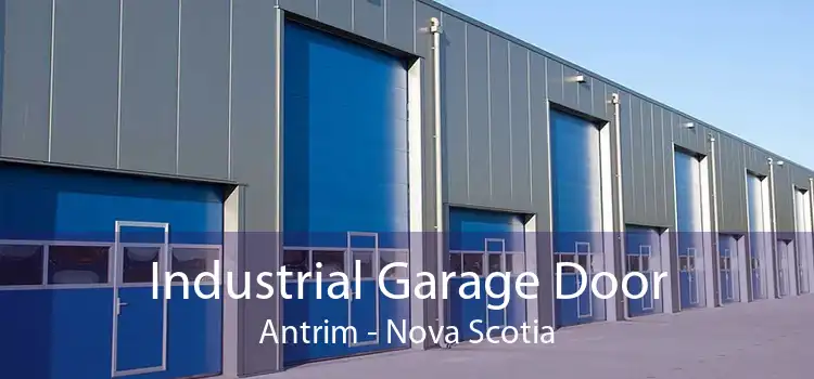 Industrial Garage Door Antrim - Nova Scotia