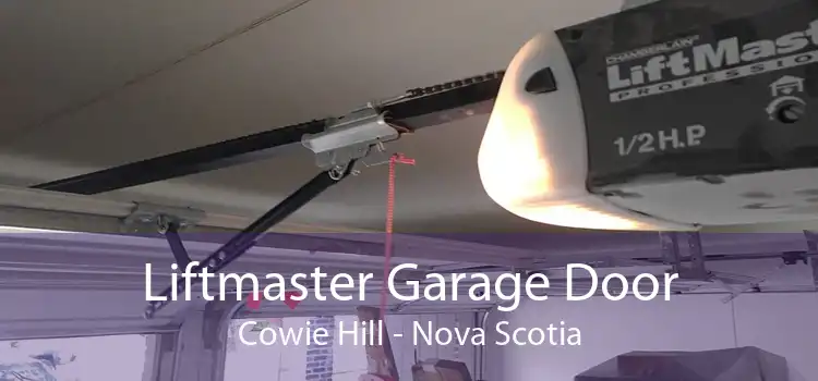 Liftmaster Garage Door Cowie Hill - Nova Scotia