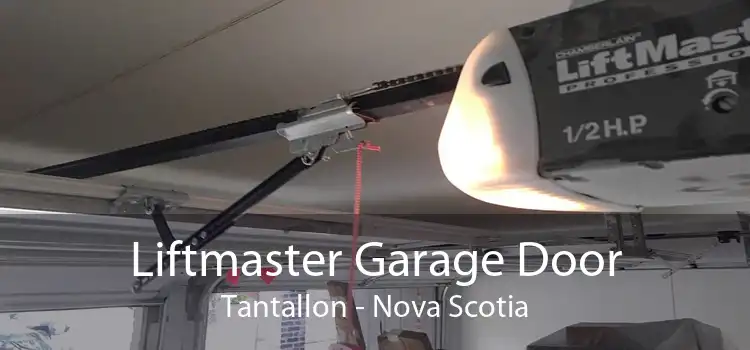 Liftmaster Garage Door Tantallon - Nova Scotia