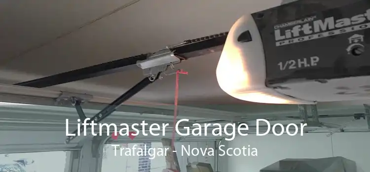 Liftmaster Garage Door Trafalgar - Nova Scotia