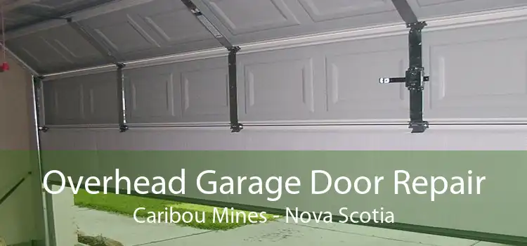 Overhead Garage Door Repair Caribou Mines - Nova Scotia