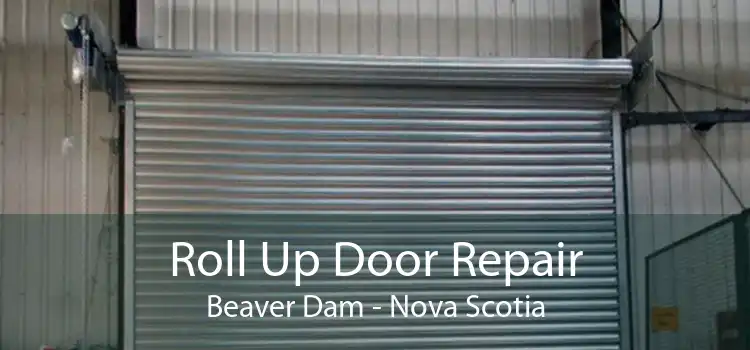 Roll Up Door Repair Beaver Dam - Nova Scotia
