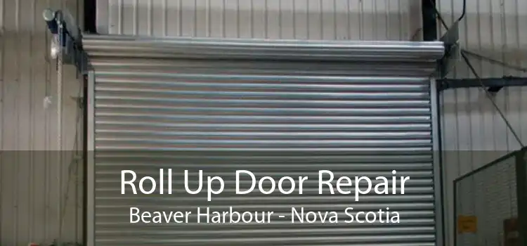 Roll Up Door Repair Beaver Harbour - Nova Scotia