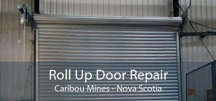 Roll Up Door Repair Caribou Mines - Nova Scotia